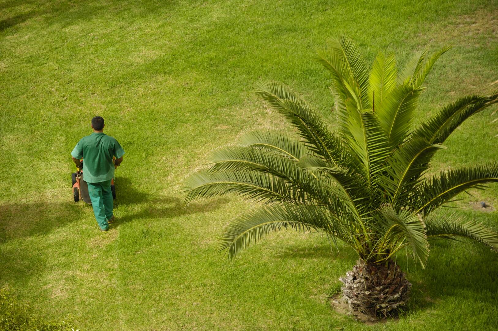 Pest Control Newport OR – pest control services